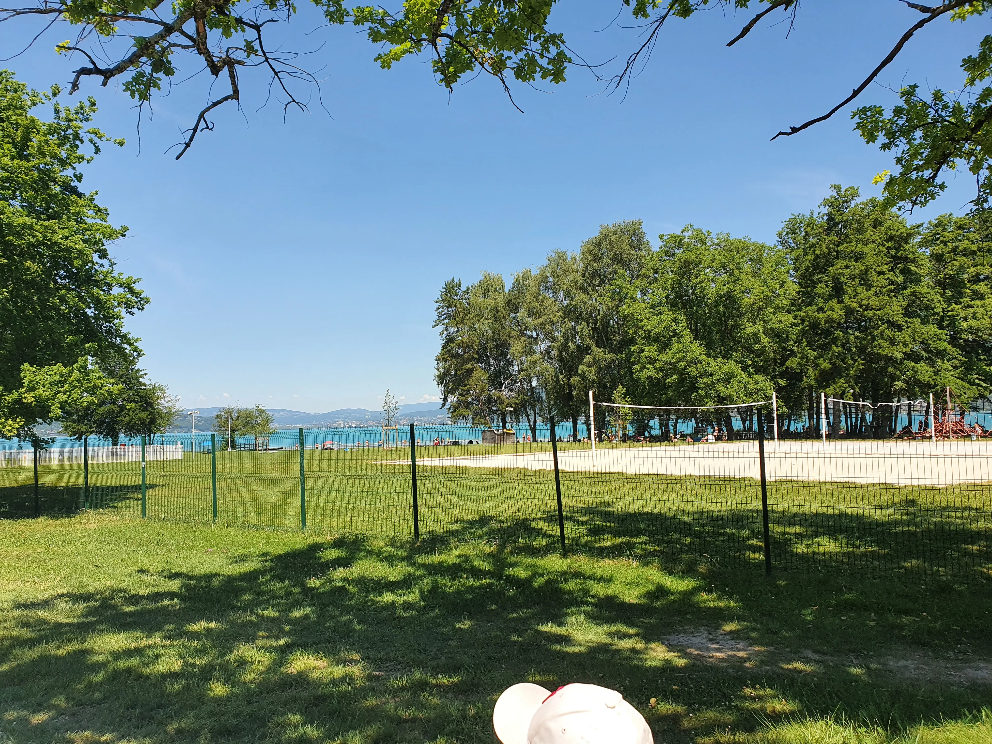 Swan blanc sur la plage