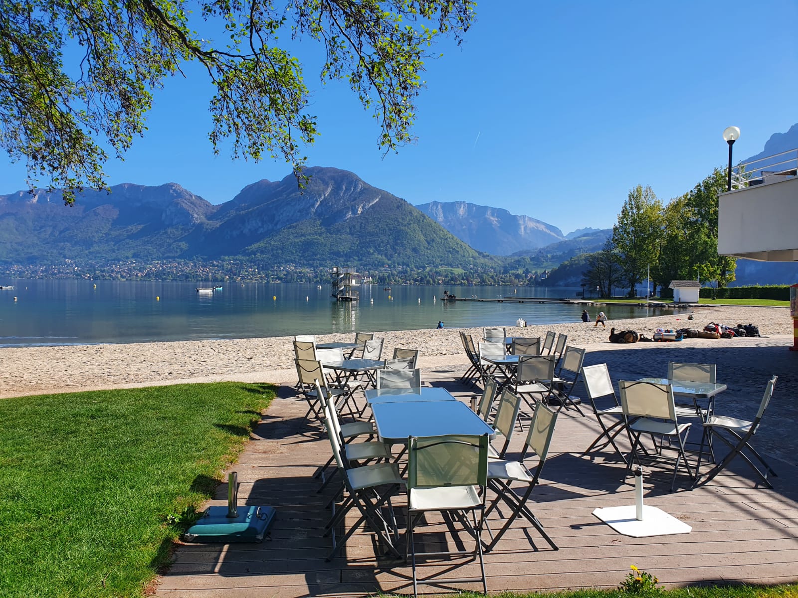 Famille swans à la plage